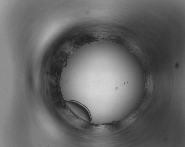 X0000116890430200912291307