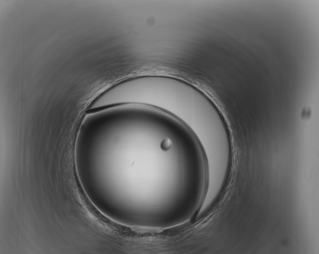 X0000116890433200912291306