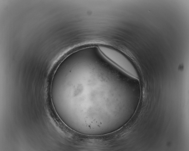 X0000116890436200912291306