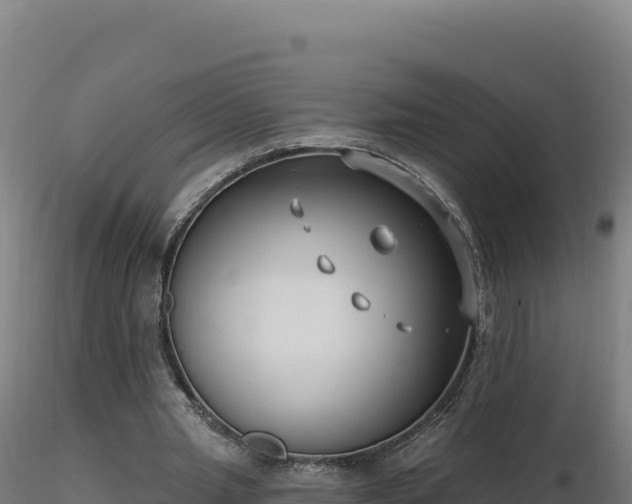 X0000116890437200912291306