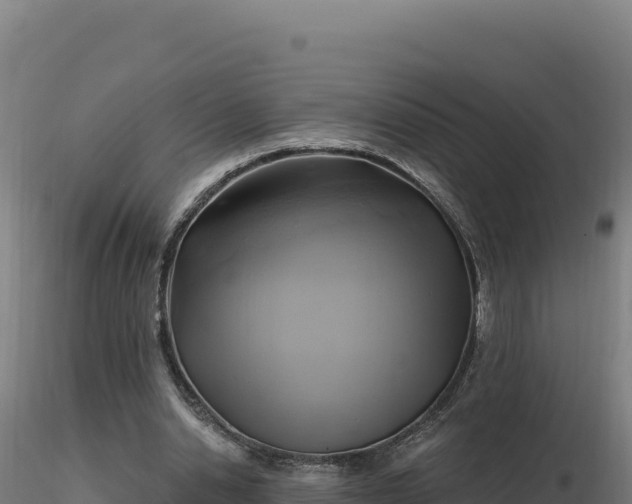 X0000116890438200912291306