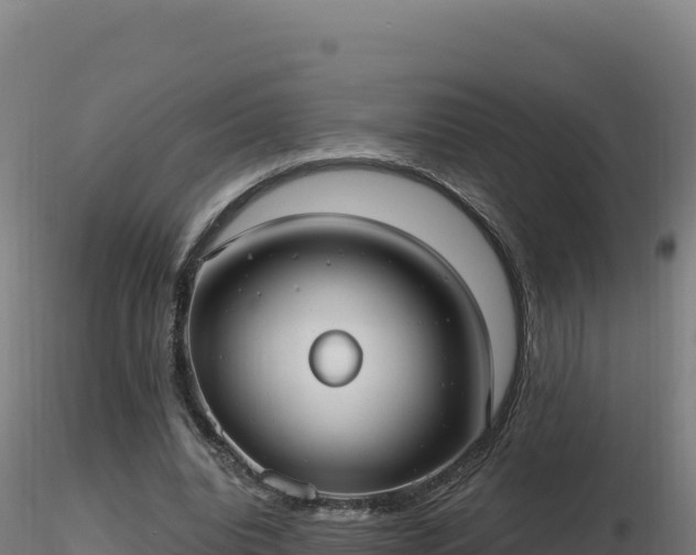 X0000116890440200912291306