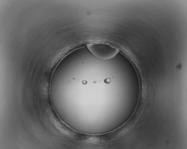 X0000116890441200912291306