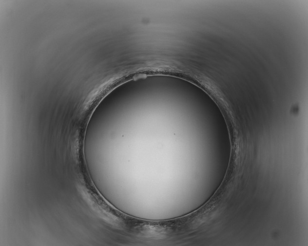 X0000116890442200912291306
