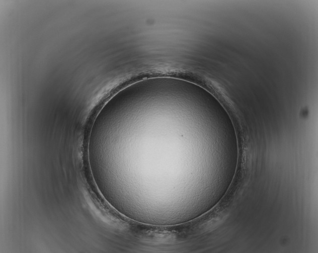 X0000116890443200912291306