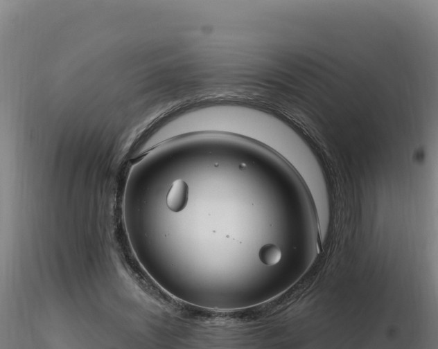X0000116890444200912291306
