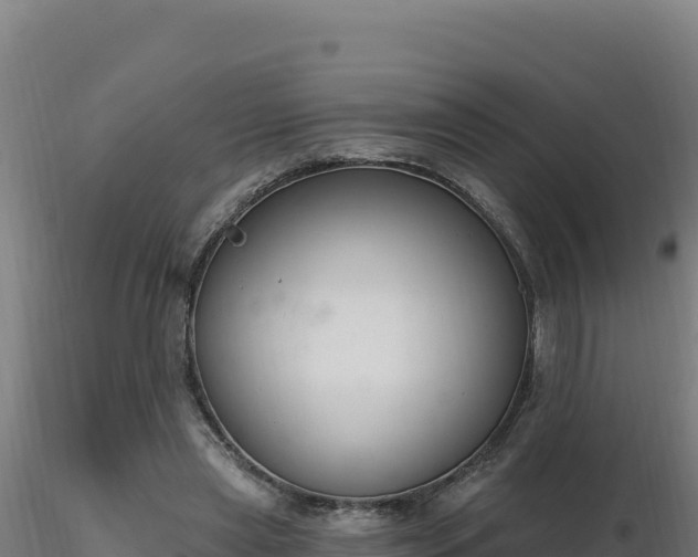X0000116890445200912291306