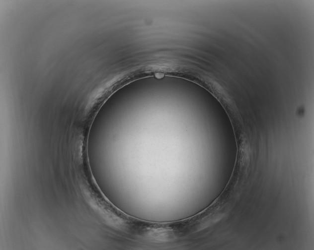 X0000116890446200912291306