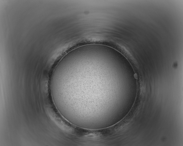 X0000116890447200912291306