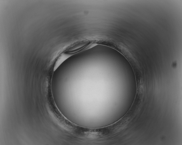 X0000116890448200912291306