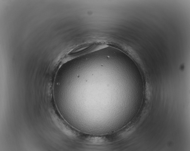 X0000116890449200912291306