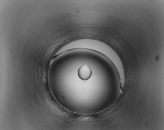 X0000116890452200912291307