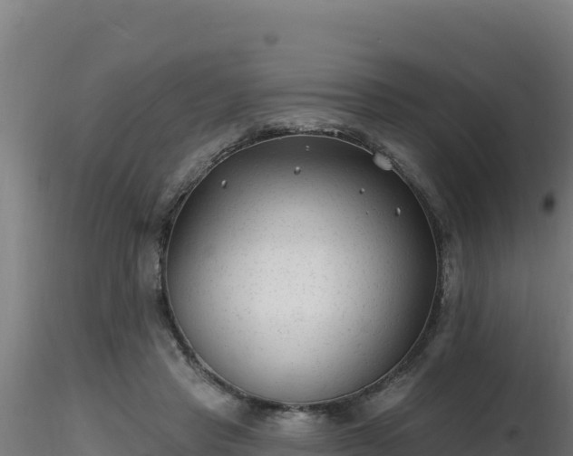 X0000116890453200912291307