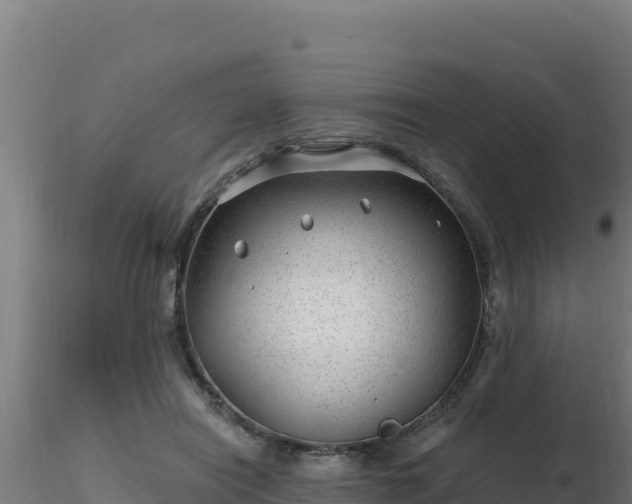 X0000116890454200912291307