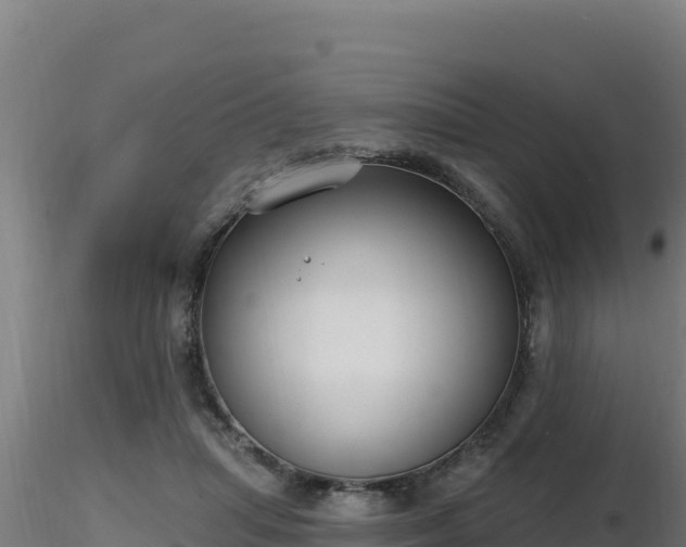X0000116890455200912291307