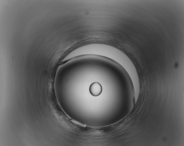 X0000116890456200912291307