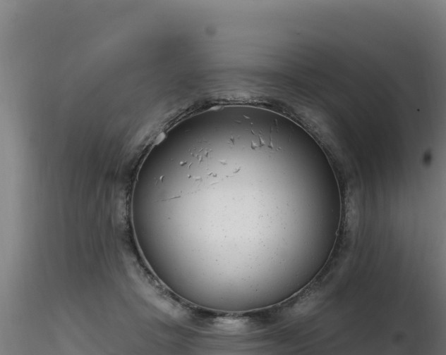 X0000116890457200912291307
