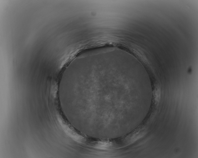 X0000116890458200912291307