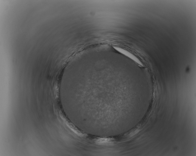 X0000116890465200912291307
