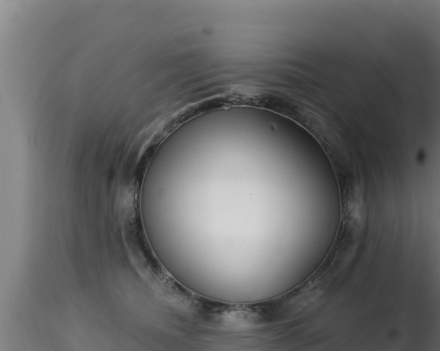 X0000116890468200912291307