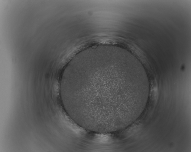 X0000116890469200912291307