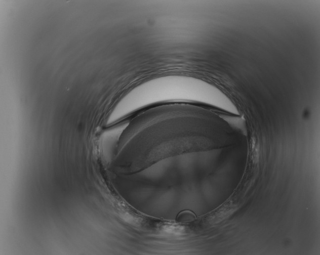 X0000116890471200912291307