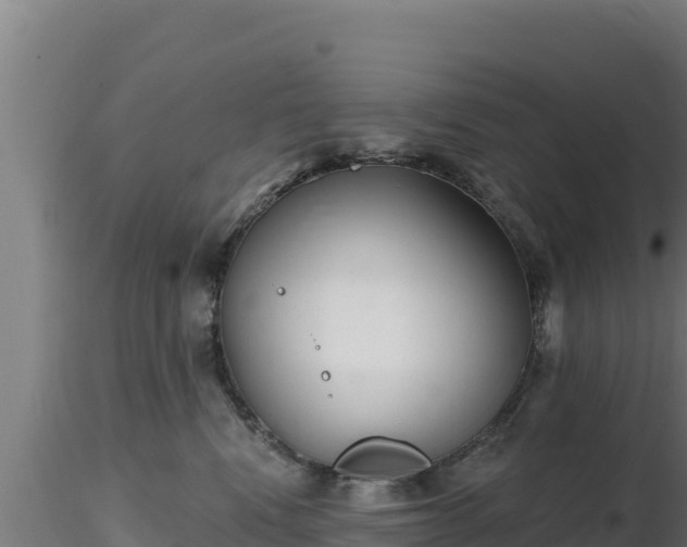 X0000116890472200912291307