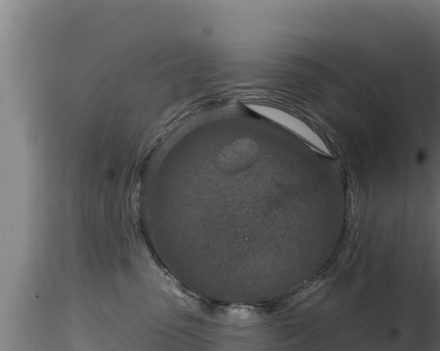 X0000116890475200912291307