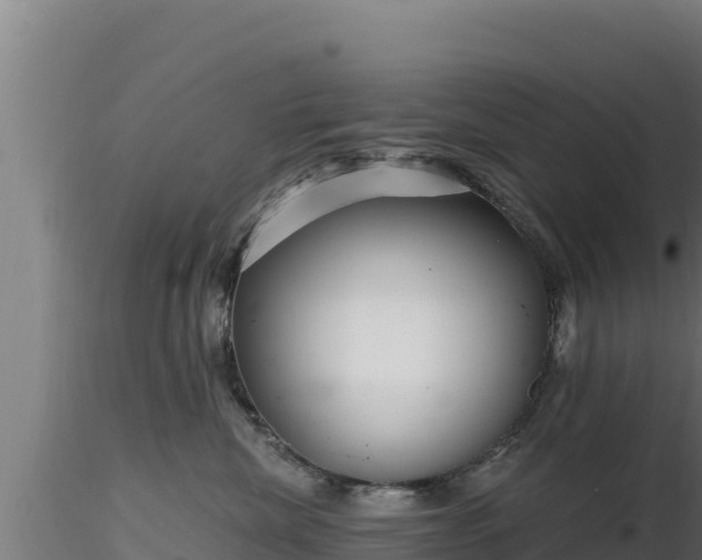 X0000116890476200912291307