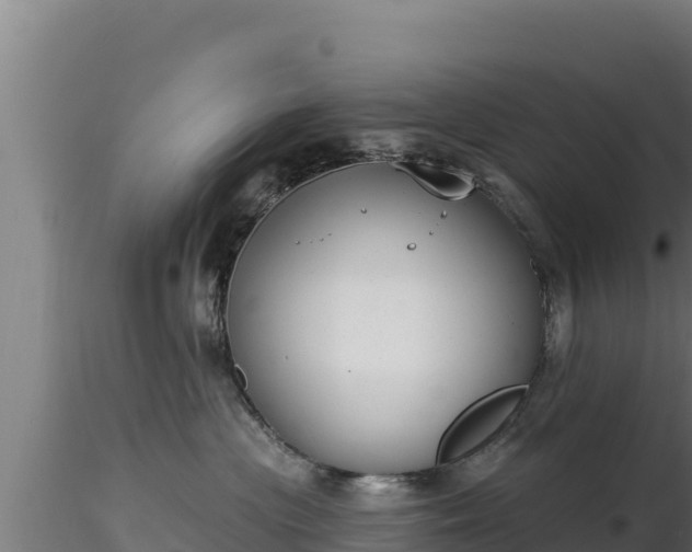 X0000116890477200912291307