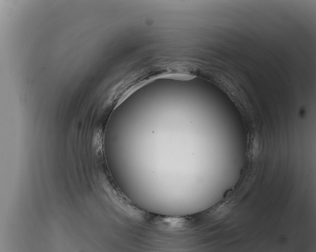 X0000116890478200912291307