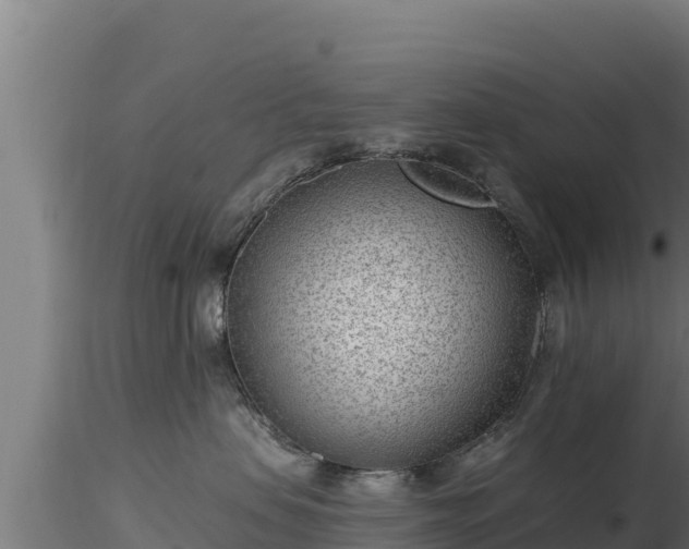 X0000116890479200912291307