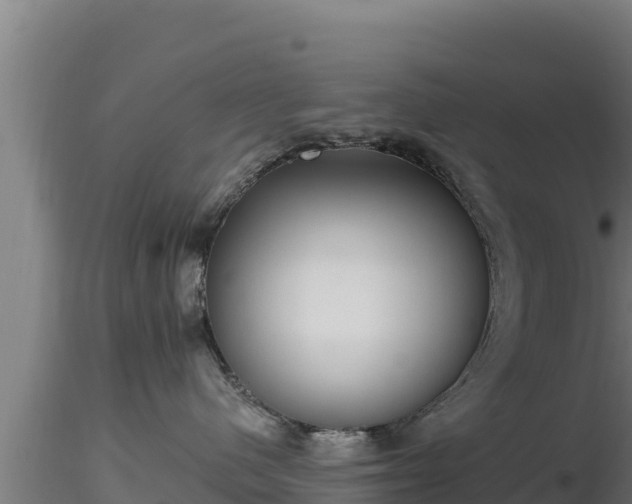 X0000116890480200912291307