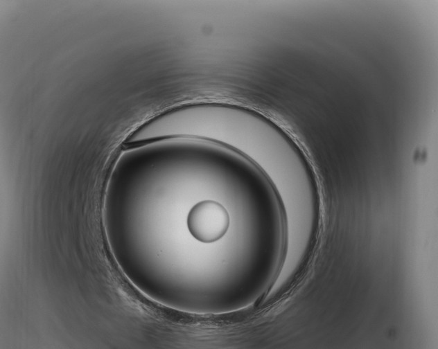 X0000116890481200912291306