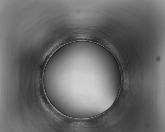 X0000116890482200912291306