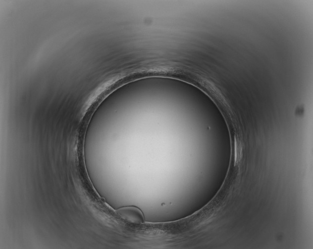 X0000116890483200912291306