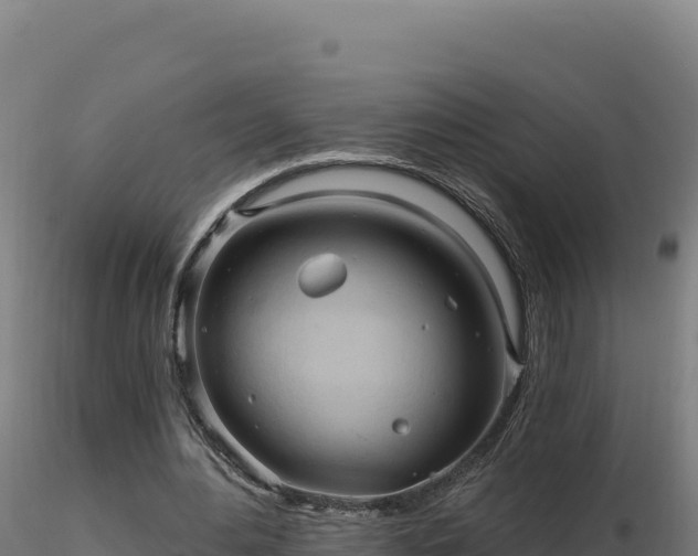 X0000116890484200912291306