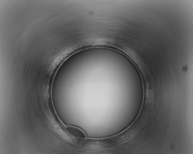 X0000116890485200912291306