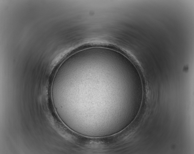 X0000116890487200912291306