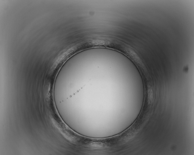 X0000116890490200912291306