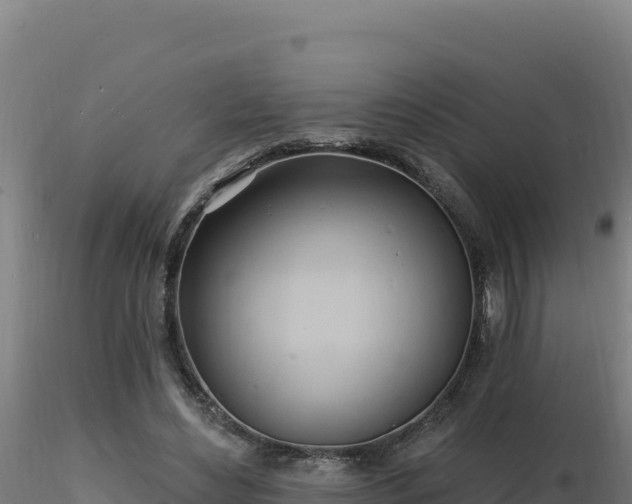 X0000116890492200912291306