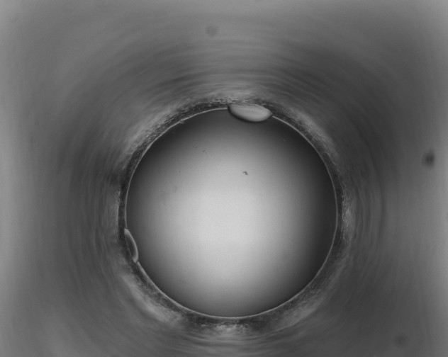 X0000116890493200912291306