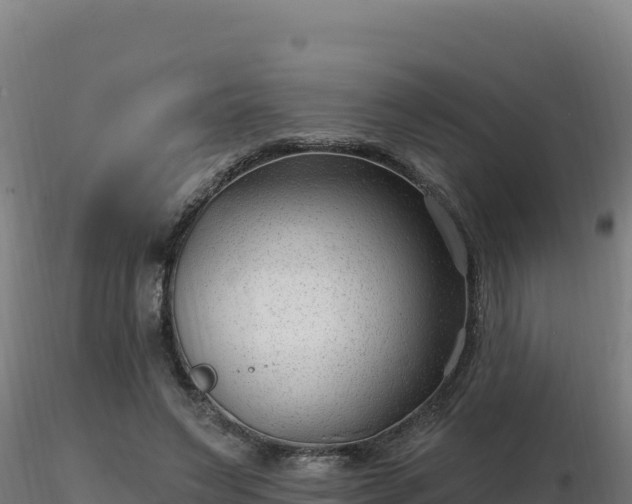 X0000116890495200912291306