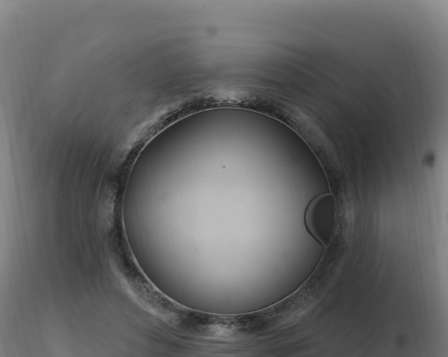 X0000116890496200912291306
