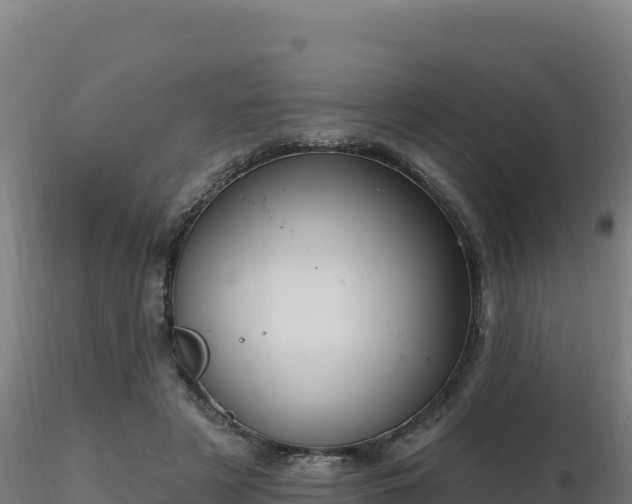 X0000116890497200912291306