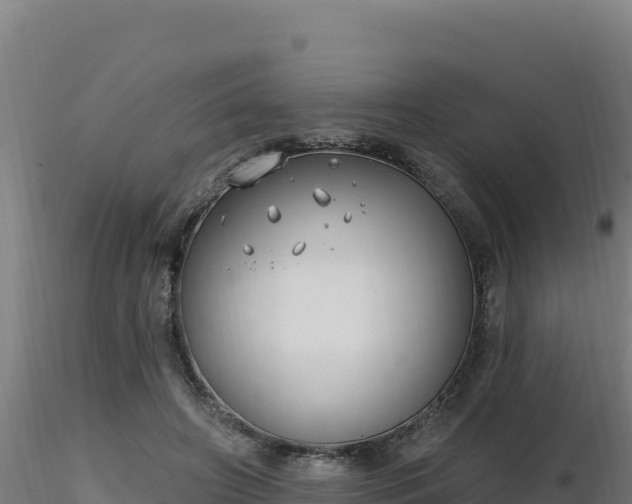 X0000116890498200912291306