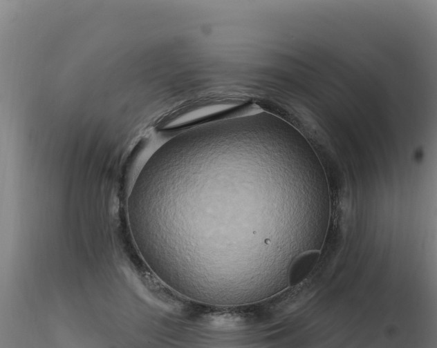 X0000116890500200912291306