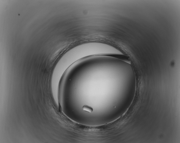 X0000116890501200912291306