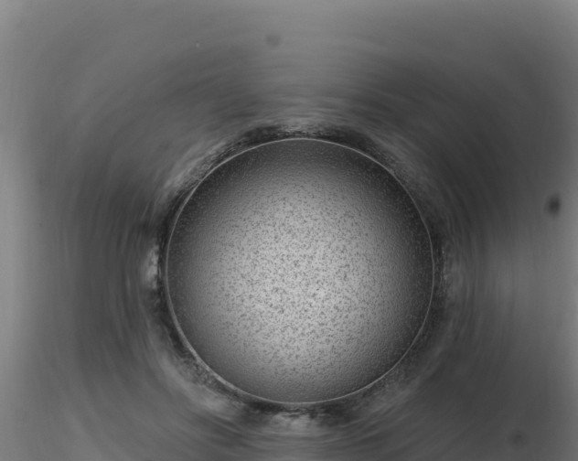 X0000116890502200912291306