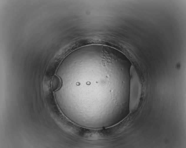 X0000116890503200912291306